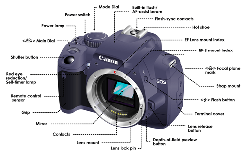 dslr camera diagram