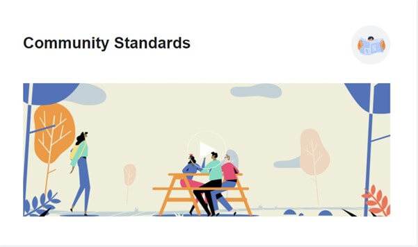 fb community standards