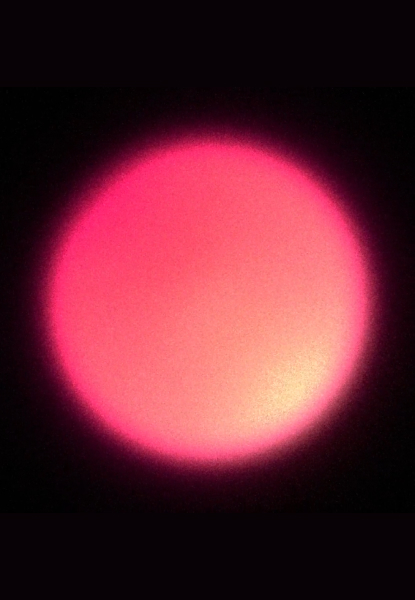 Die besten Autofokus-Kameras