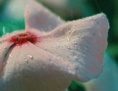 Bring spring to life with Artlist’s ultimate SFX collection