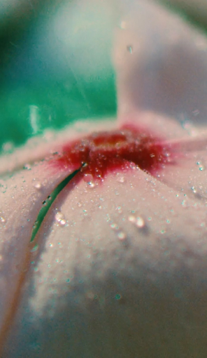 Bring spring to life with Artlist’s ultimate SFX collection